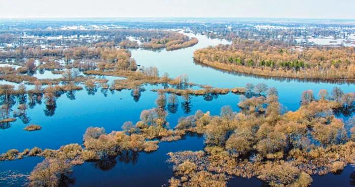 Ярко-голубая весенняя Припять с залитой водой поймой. фото